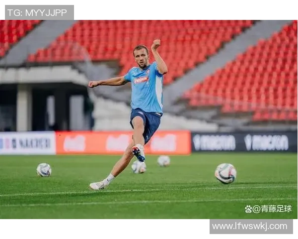 爱尔兰与格鲁吉亚足球比赛比分预测分析及赛前展望